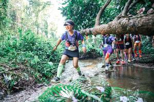 BIB: 
                            <button type="button" onclick="openModal(25464814)" class="btn btn-primary btn-sm float-right btn-popup" data-toggle="modal" data-target=".modal-high-quality">
                        <i class="fas fa-shopping-cart"></i> Add to Cart
                    </button>
                                            <button type="button" onclick="isThisMe(25464814, true)" class="btn btn-success btn-sm float-right btn-popup btn-isme hidden" data-toggle="tooltip" data-placement="bottom" title="นี่คือรูปของคุณใช่ไหม คลิกที่นี่เพื่อเอาเข้าอัลบั้ม">
                        <i class="fas fa-plus"></i> Add to album
                    </button>
                    <button type="button" onclick="isThisMe(25464814, false)" class="btn btn-warning btn-sm float-right btn-popup btn-isnotme hidden">
                        <i class="fas fa-ban"></i> Remove from album
                    </button>